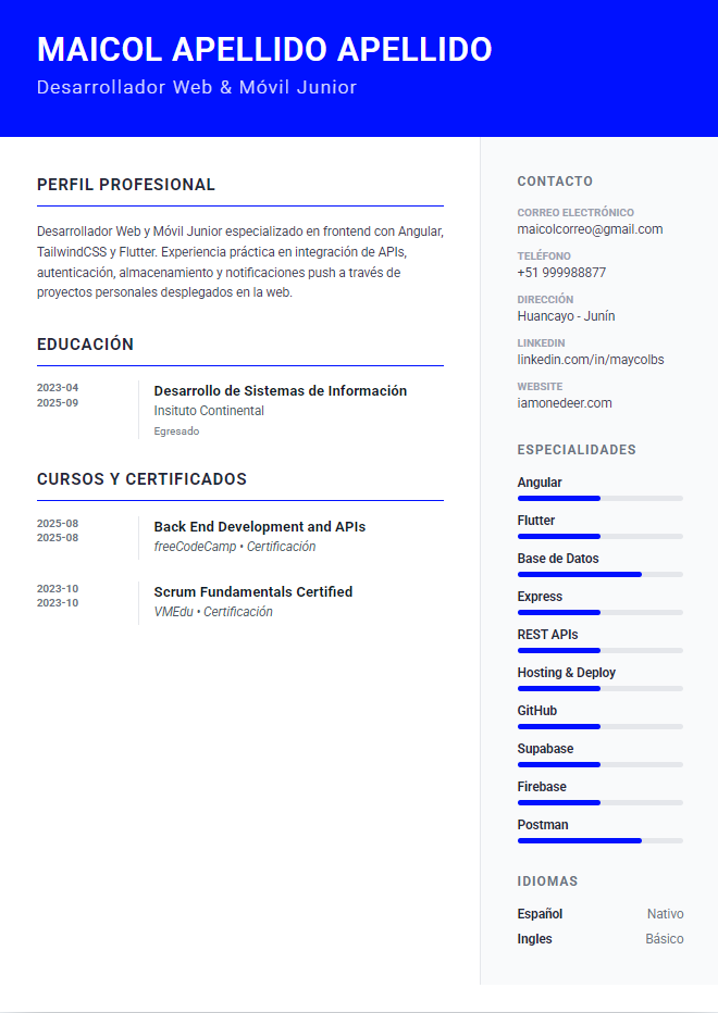 Ejemplo de CV Profesional
